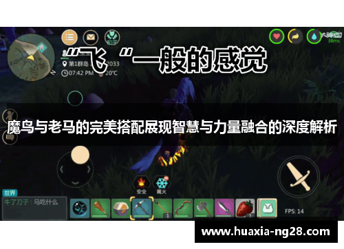 魔鸟与老马的完美搭配展现智慧与力量融合的深度解析