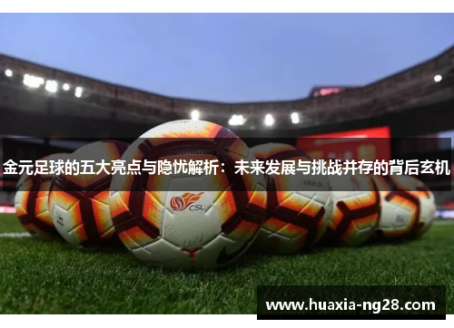 金元足球的五大亮点与隐忧解析：未来发展与挑战并存的背后玄机