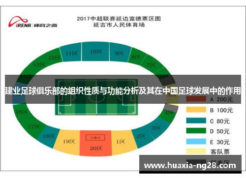 建业足球俱乐部的组织性质与功能分析及其在中国足球发展中的作用