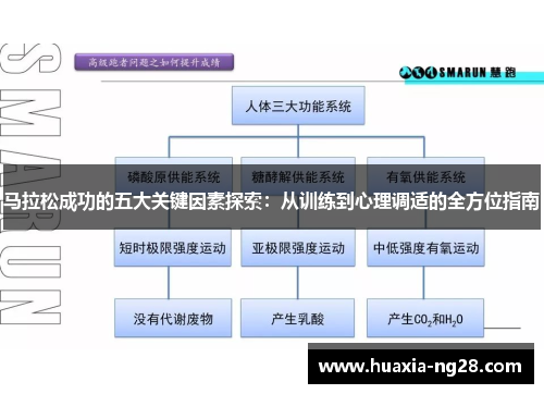 马拉松成功的五大关键因素探索：从训练到心理调适的全方位指南