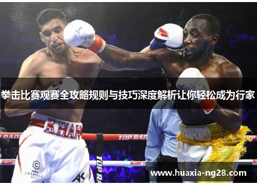 拳击比赛观赛全攻略规则与技巧深度解析让你轻松成为行家