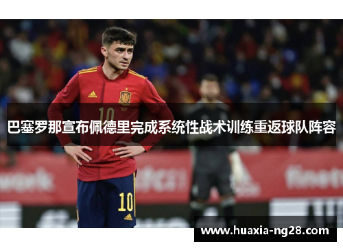 巴塞罗那宣布佩德里完成系统性战术训练重返球队阵容 巴塞罗那宣布佩德里完成系统性战术训练重返球队阵容